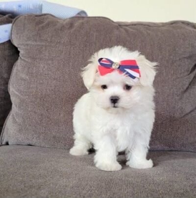 Charlie
